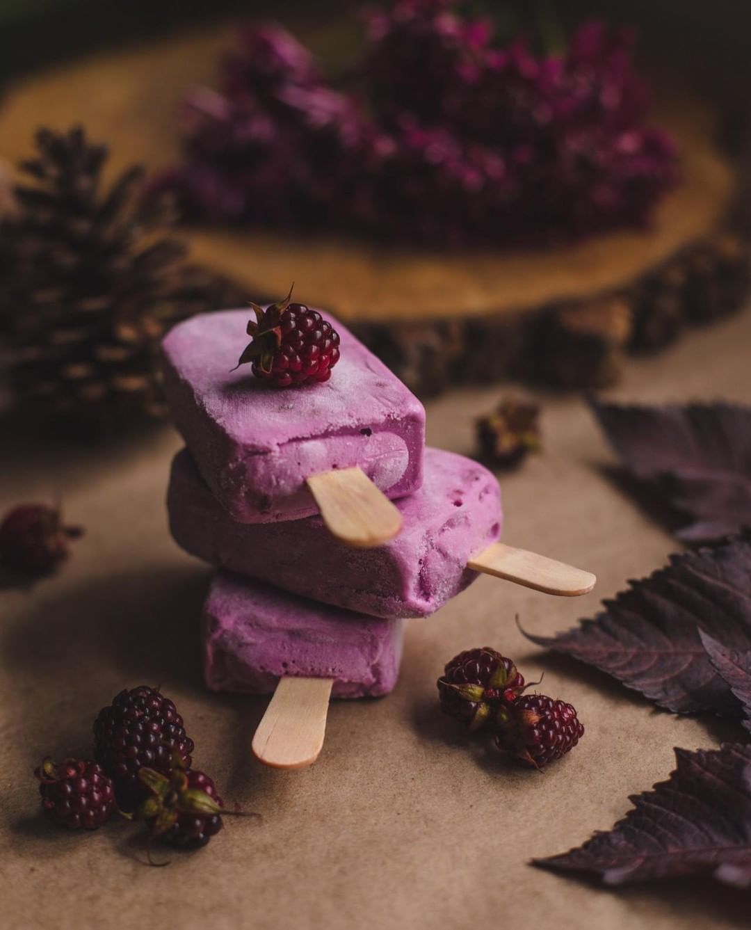 Yogurt Berry Popsicles With Nutro Gusto Honey