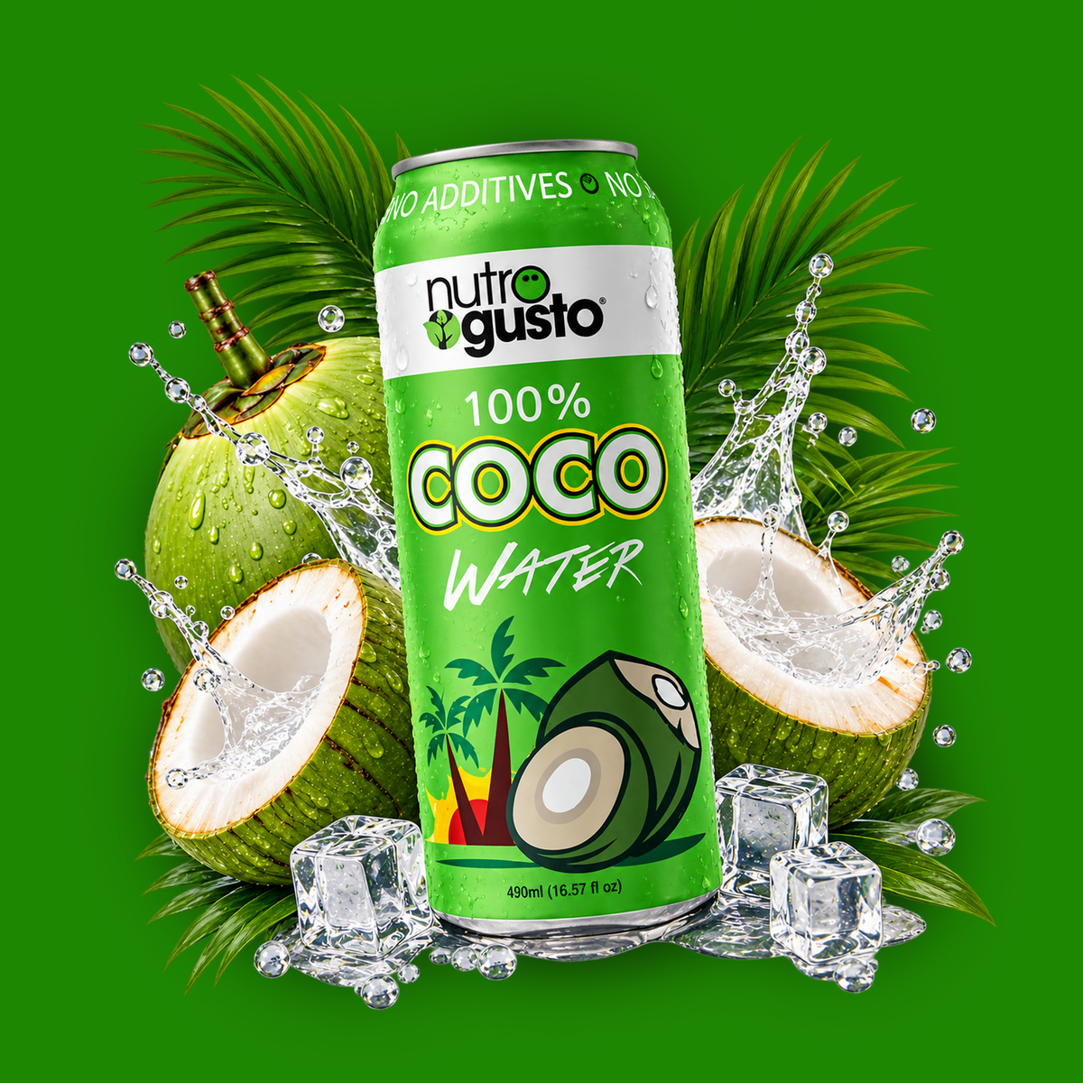 Coconut Water 490ml