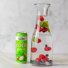 Load image into Gallery viewer, NutroGusto Coconut Water 490ml