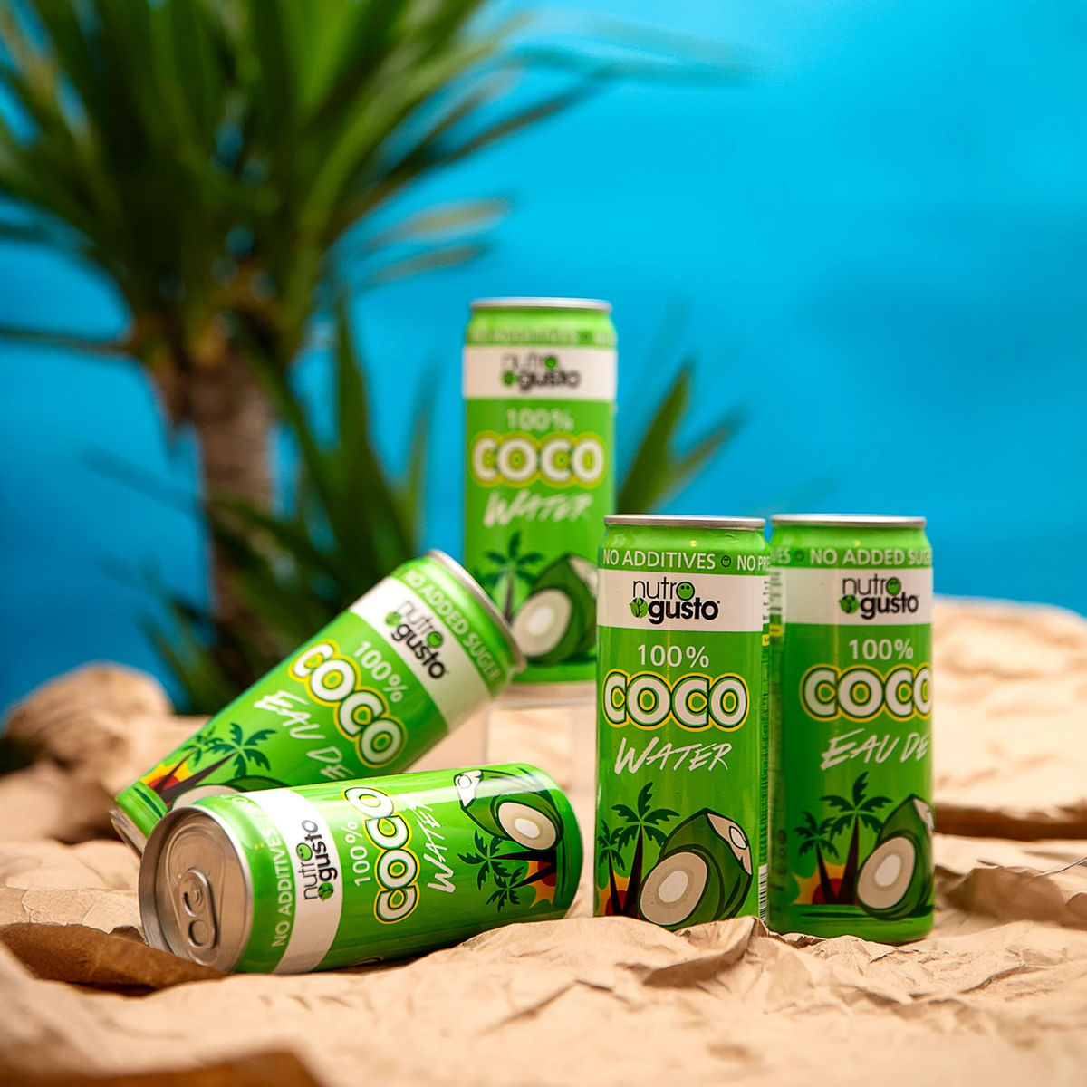 Coconut Water 490ml