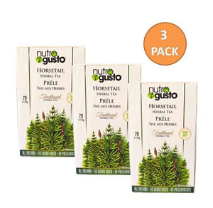 NutroGusto Horsetail Tea (Pack of 3)