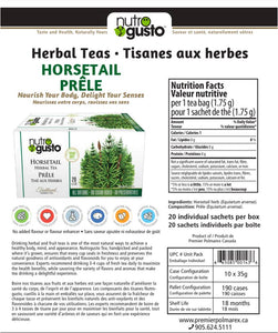 NutroGusto Horsetail Tea (Pack of 3)