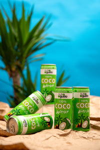 NutroGusto Coconut Water 490ml